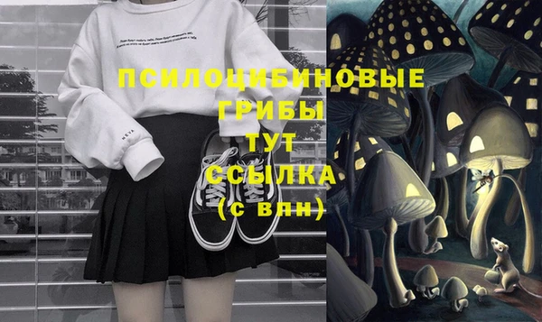 спайс Козельск