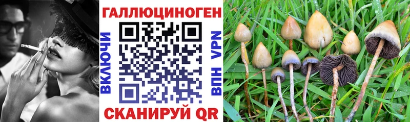 Галлюциногенные грибы Magic Shrooms Октябрьский
